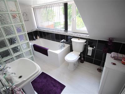 Picture 13